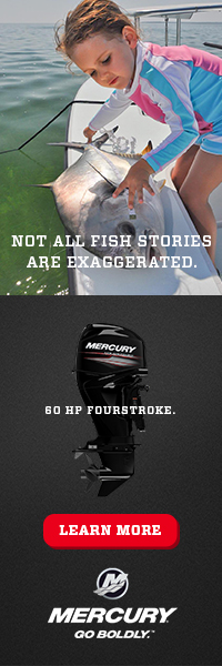 Fish Stories_200x600